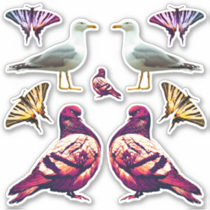 Sticker Funny Cute Cool Pigeon Bird & Butterfly Photo