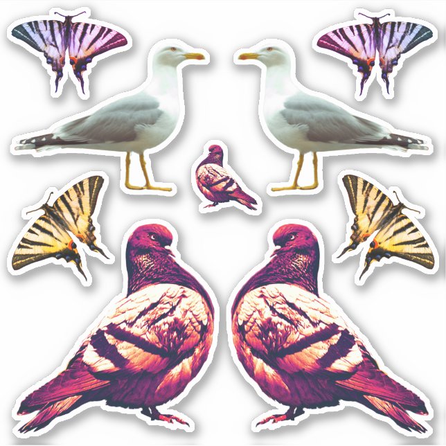 Sticker Funny Cute Cool Pigeon Bird & Butterfly Photo (Devant)