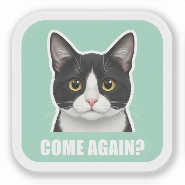 Sticker Funny Meme Cat – “Come Again?” Sassy Cat Reaction, (Devant)