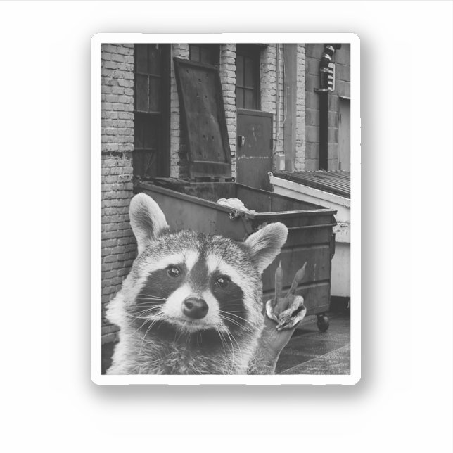 Sticker Funny Raccoon Selfie Raccoon Funny Raccoon (Devant)