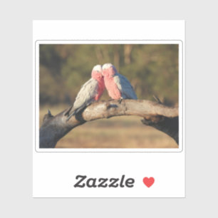 Sticker Galahs roses