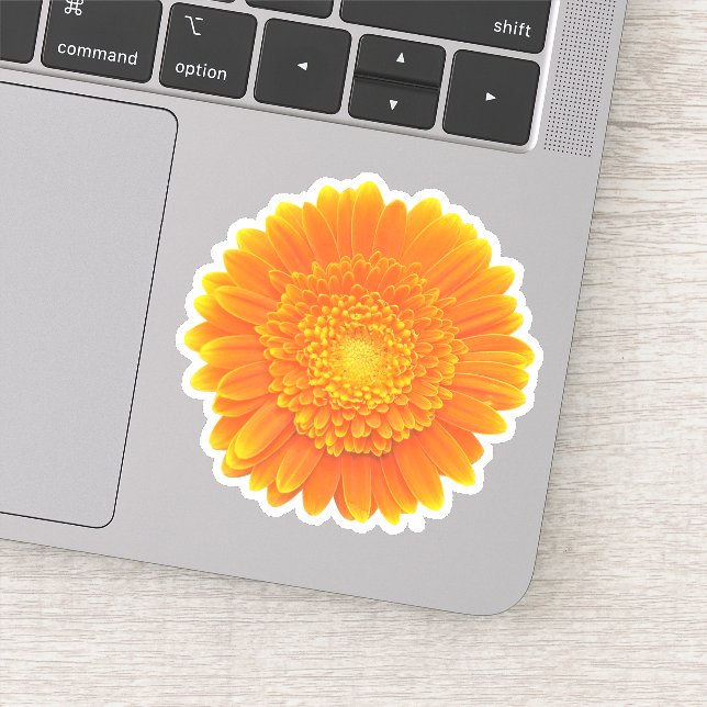 Sticker gerbera marguerite orange (Détail)