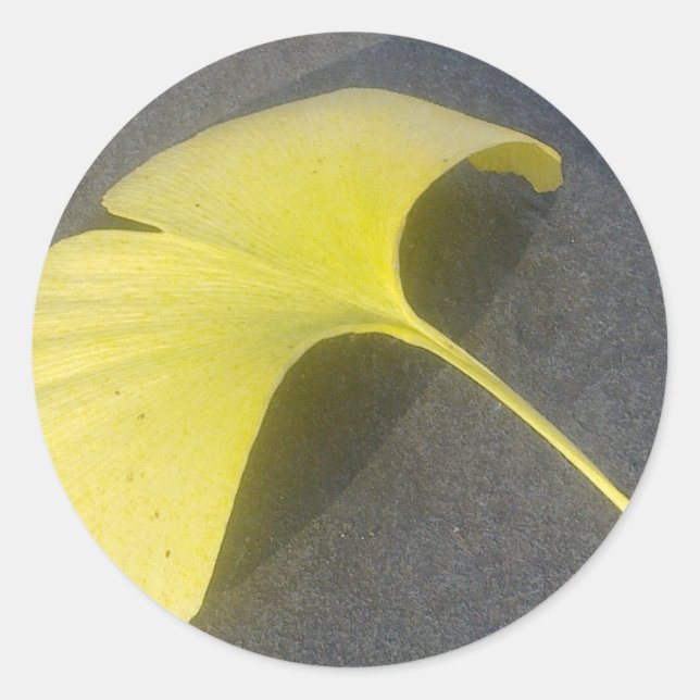 Sticker Ginkgo Biloba Leaf (Devant)