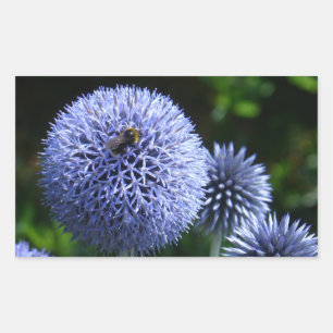 Sticker Globe Thistle Flowers