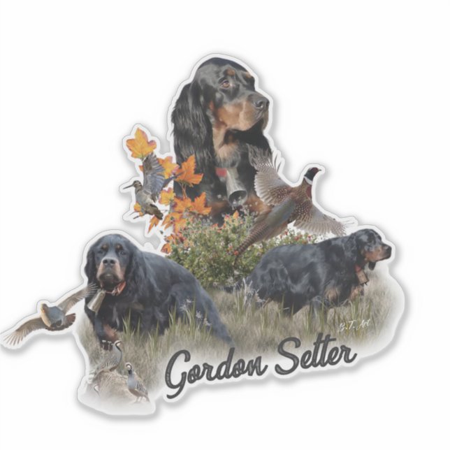 Sticker Gordon Setter (Devant)