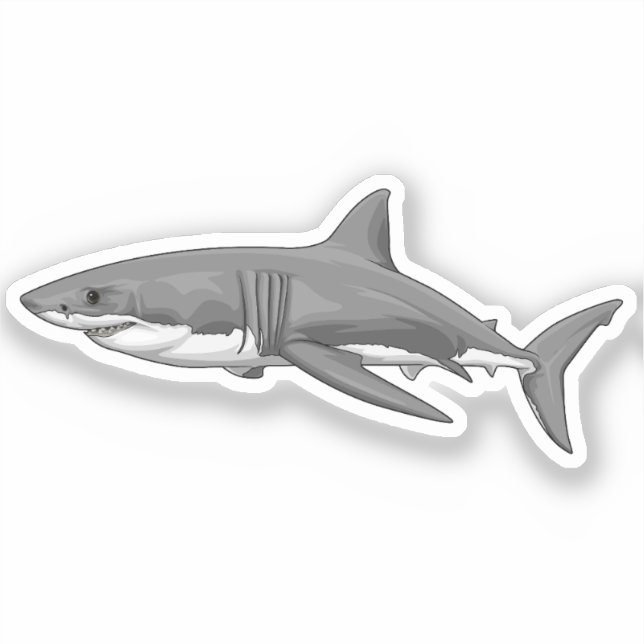 Sticker Grand requin blanc (Recto)