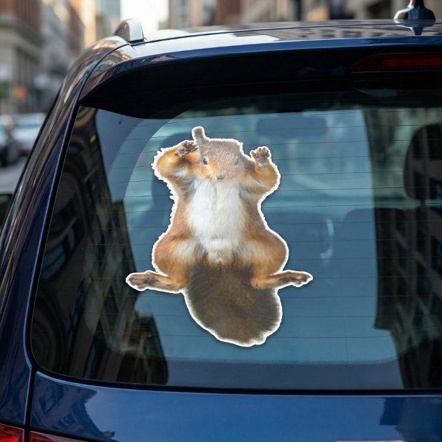 Sticker Graphisme de l'écureuil agrippé à la fenêtre (Hanging on for dear life.)