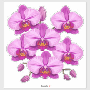Sticker Grappe de fleurs d'orchidée rose vibrant