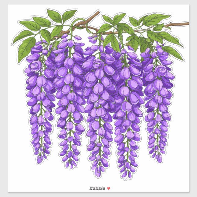 Sticker Grappes de glycine violette en fleurs (Feuille)