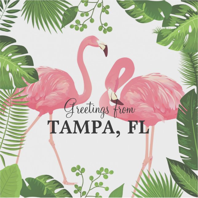 Sticker Greetings from Tampa, Florida (Devant)