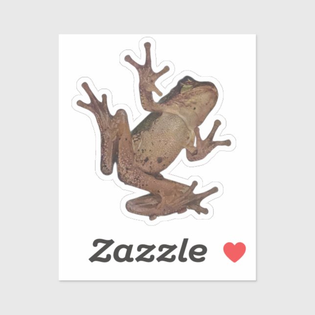 Sticker grenouille (Feuille)