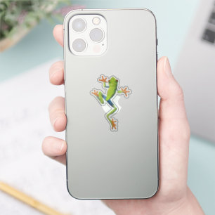 Sticker Grenouille-Arbre Amphibienne