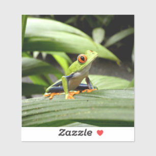Sticker Grenouille verte