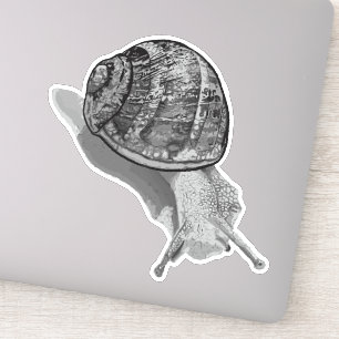 Sticker Gris de l'escargot peint