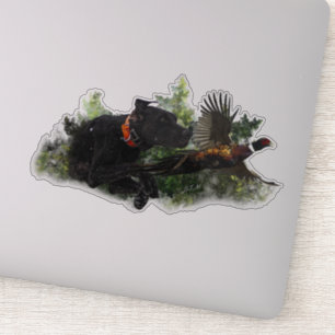 Sticker GSP, Chasse faisan