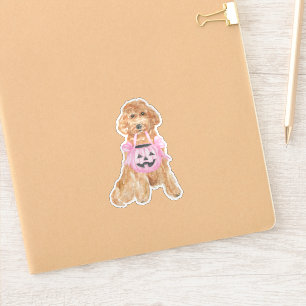 Sticker Halloween Goldendoodle Citrouille Trick ou le trai