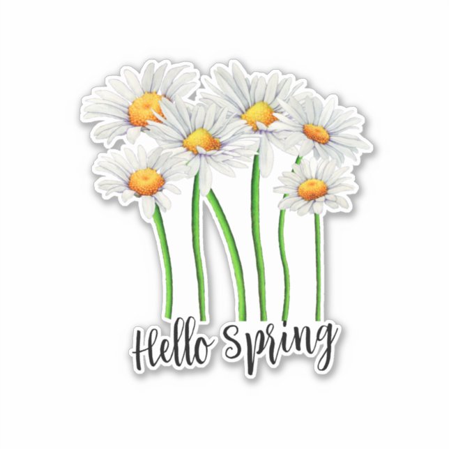 Sticker Hello Spring, Daisy Flowers Design (Devant)