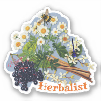 Sticker Herboriste Fleurs de Grande Camomille Sureau en fo