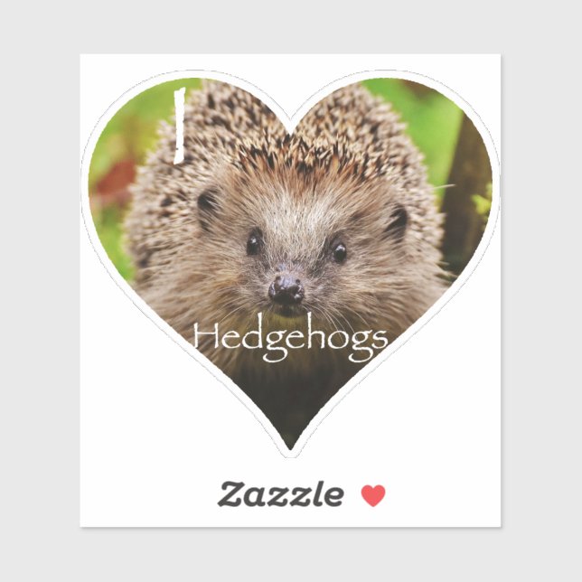 Sticker Hérisson du coeur (Feuille)