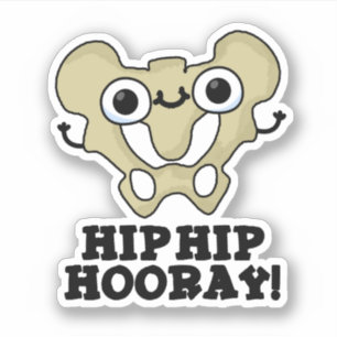 Sticker Hip Hip Hop Funny Anatomy Pun