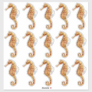 Sticker Hippocampe 15 Grande aquarelle peinte transparente