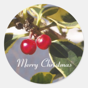 Sticker Holly & Berry Round