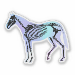 Sticker Holographique Cheval Skeleton Equine Anatomie Vet 
