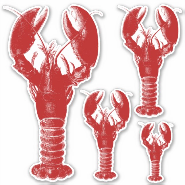 Sticker Homard blanc et rouge profond (Devant)