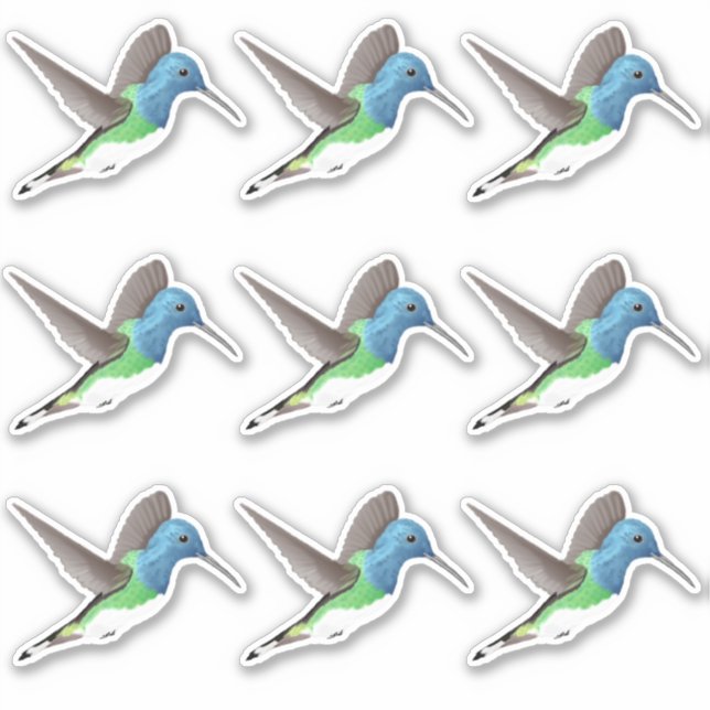 Sticker Hovering Jacobin Hummingbird - 9x coupe personnali (Devant)