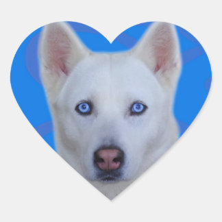 Sticker Husky Sibérien Blanc (arrière - plan Bleu)