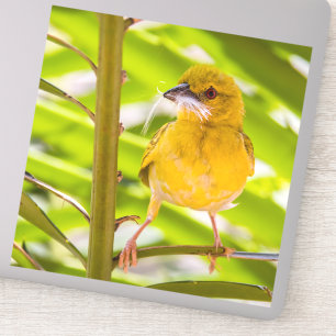 Sticker Il est temps de construire le nid