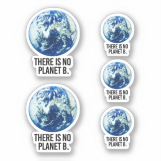 Sticker Il n'y a pas de planète B