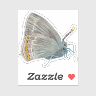 Sticker Ilex Hairstreak Papillon Satyrium ilicis