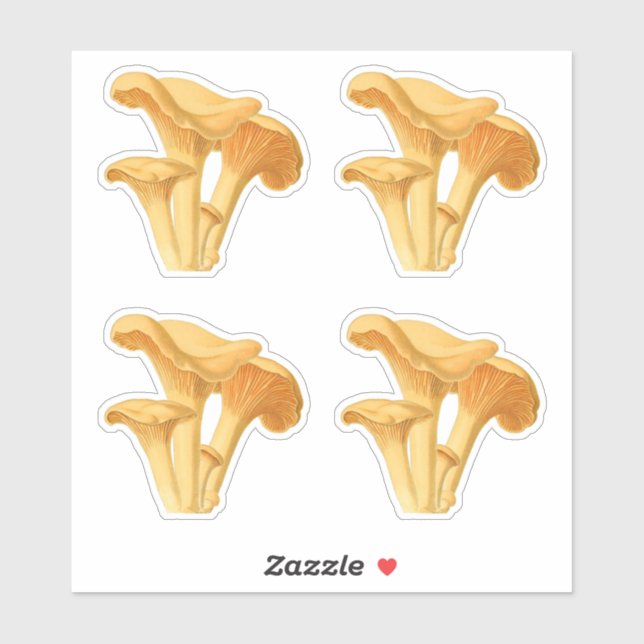 Sticker Illustration botanique Vintage du champignon Chant (Feuille)