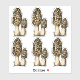 Sticker Illustration botanique Vintage du champignon Morel