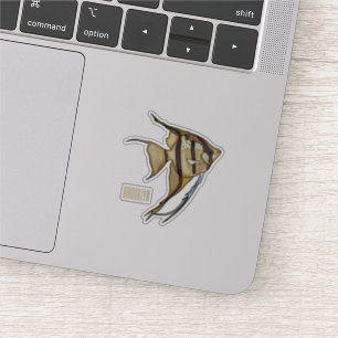 Sticker Illustration d'angelfish