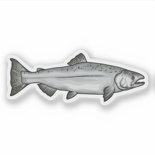Sticker Illustration de la phase Océan Saumon Chinook (Devant)