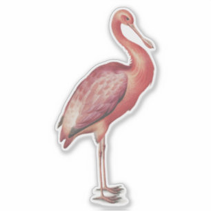 Sticker Illustration de l'oiseau vintage de Spoonbill Rose