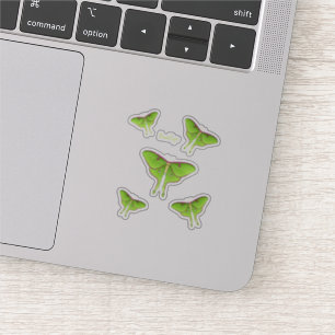 Sticker Illustration de Luna Moth