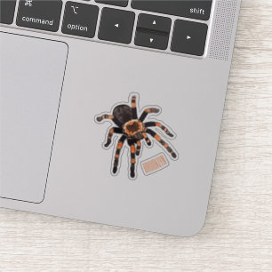 Sticker Illustration de Tarantula