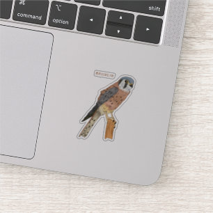 Sticker Illustration d'oiseau américain Kestrel