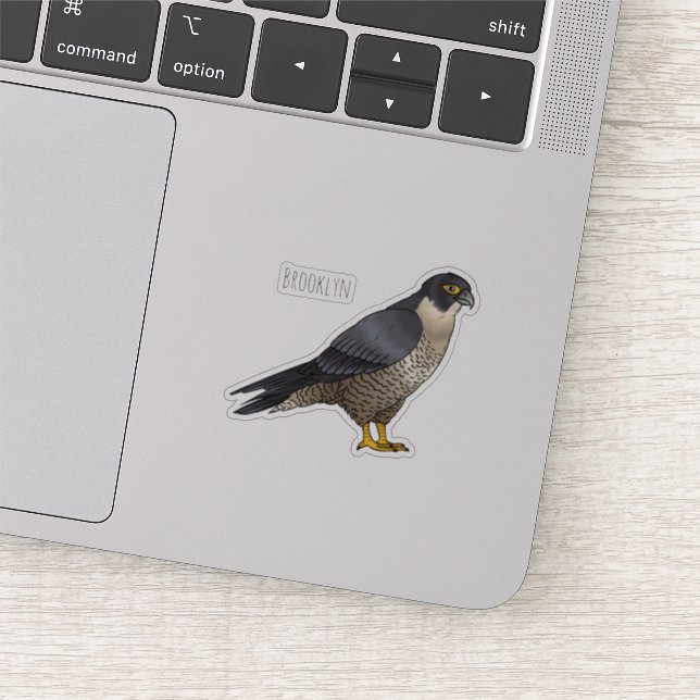 Sticker Illustration d'oiseau de faucon pèlerin (Détail)