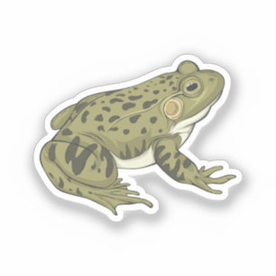 Sticker Illustration du vecteur grenouille léopard