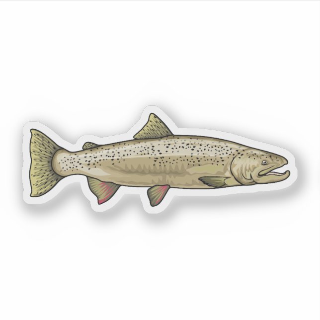 Sticker Illustration Saumon Atlantique (Devant)