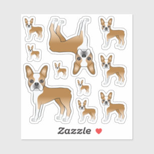 Sticker Illustrations de chien Boston Terrier fauve et bla