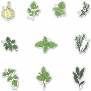 Sticker Illustrations d'herbe de cuisine botanique