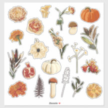 Image automne mignon.