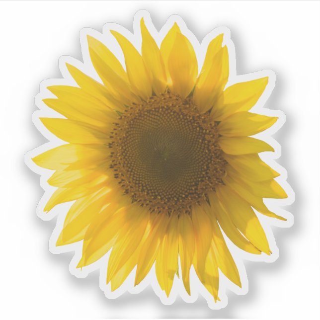 Sticker Image de vrai tournesol jaune (Devant)