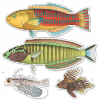 Sticker Impression Artiste Poisson Tropical Illustration V