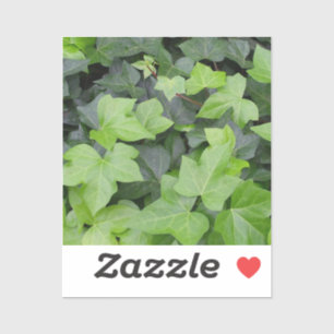 Sticker Impression botanique verte Ivy